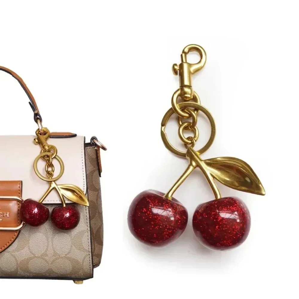 قطعة واحدة من تعليقات الحقائب  - مراجعة Women Bags Coach وسعره