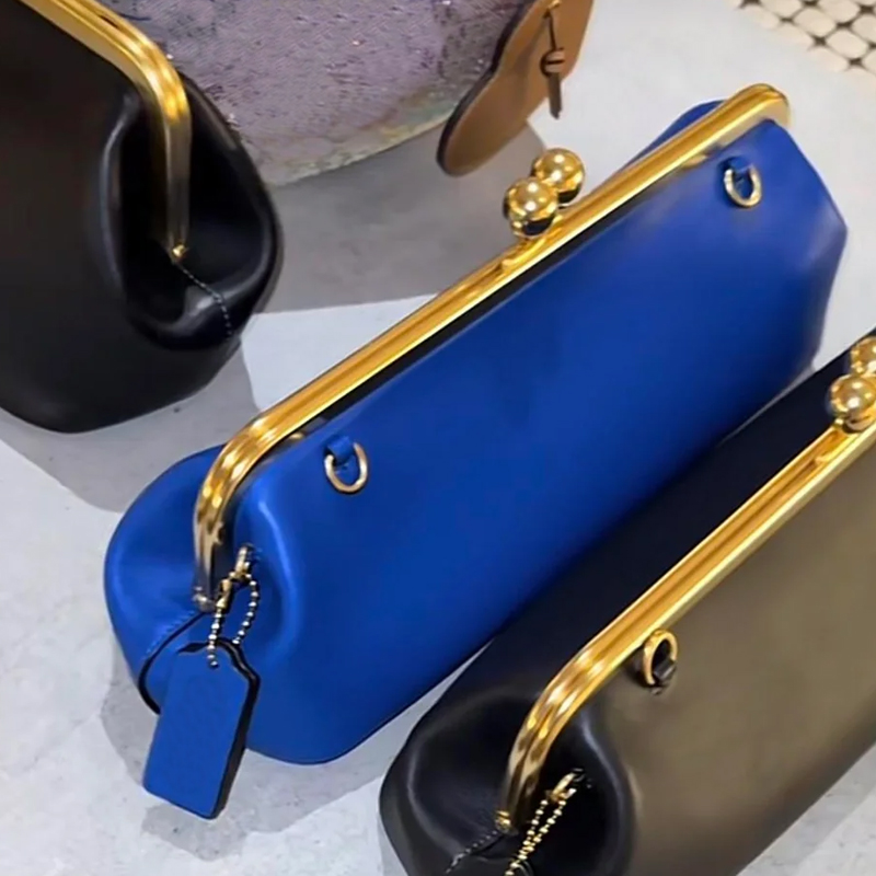 حقائب كلاسيكية بإطار قفل 30 سم - مراجعة Women Bags Polene وسعره