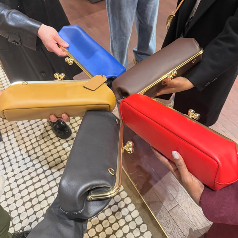 حقائب كلاسيكية بإطار قفل 30 سم - مراجعة Women Bags Polene وسعره